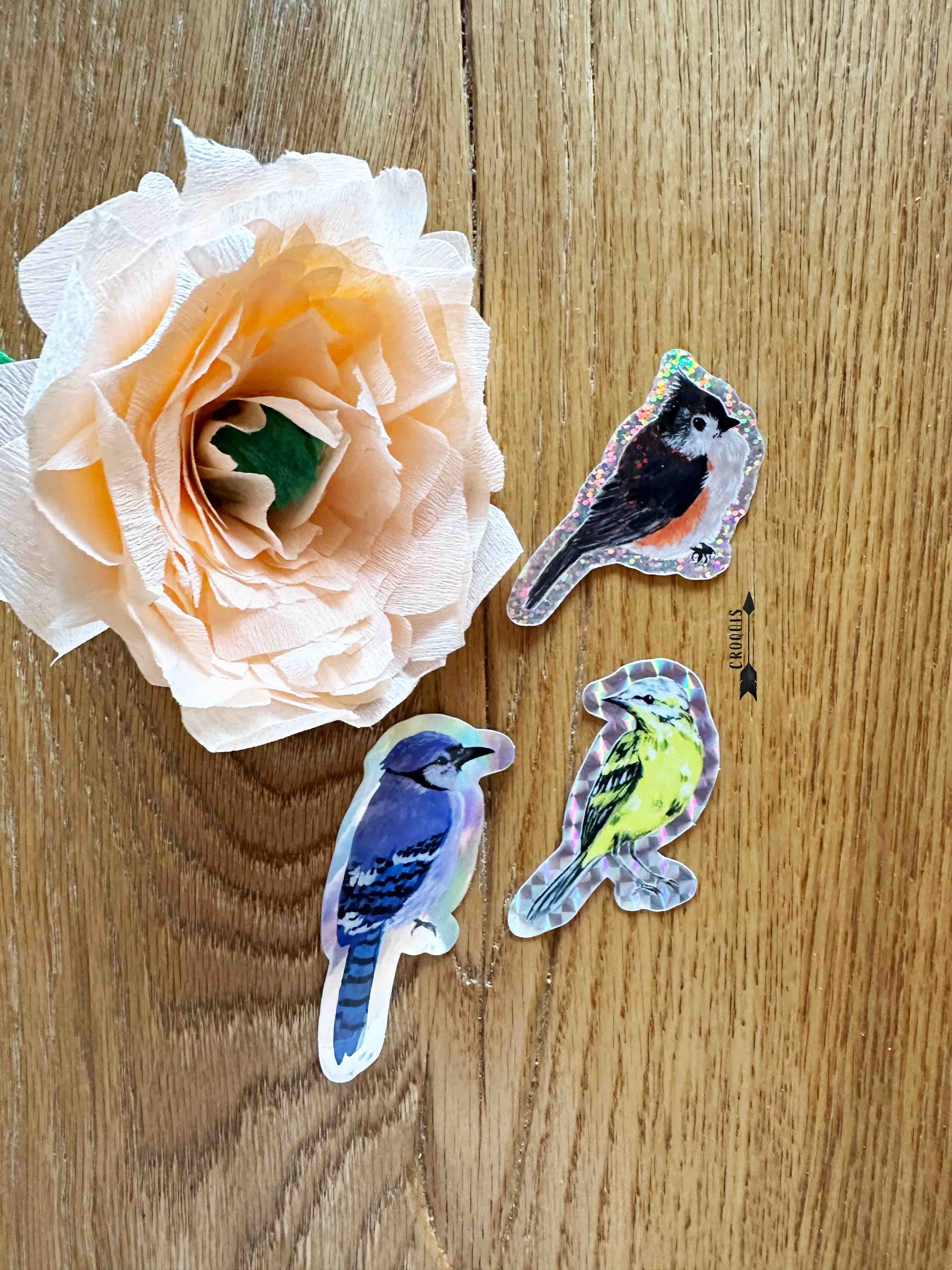 oiseaux1.jpg