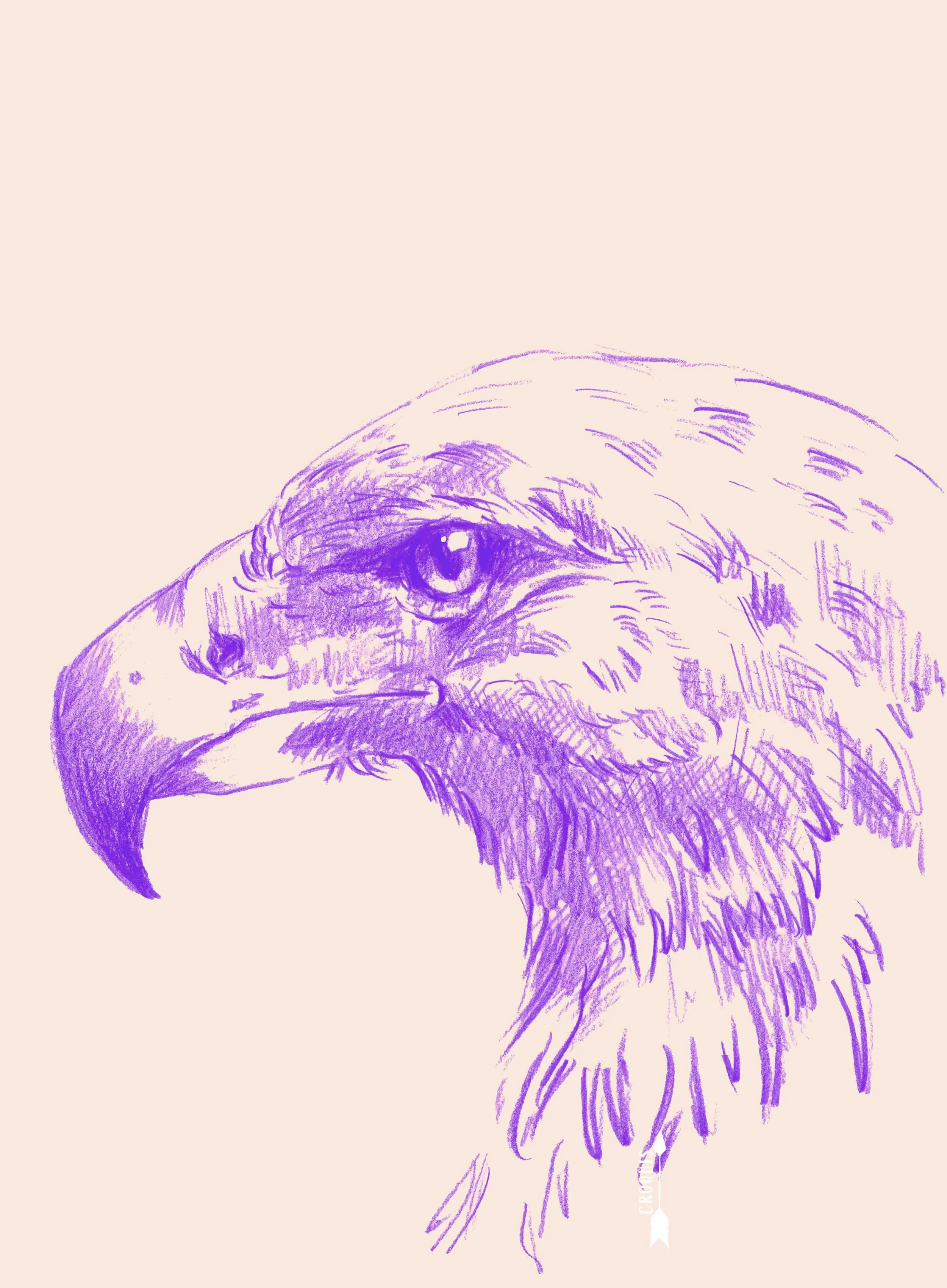 Affiche "Aigle" A5