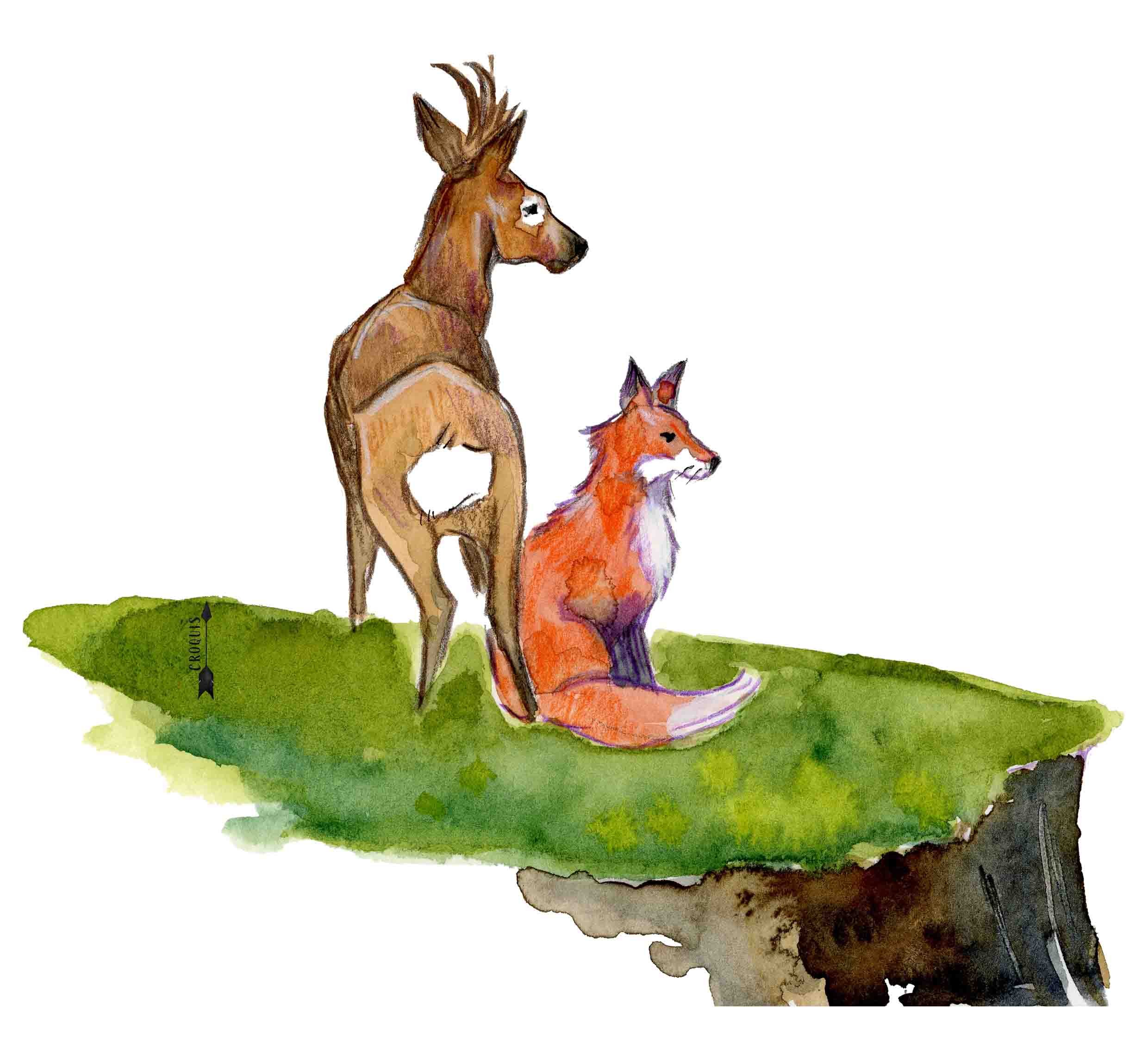 renard et chevreuil_fond.jpg