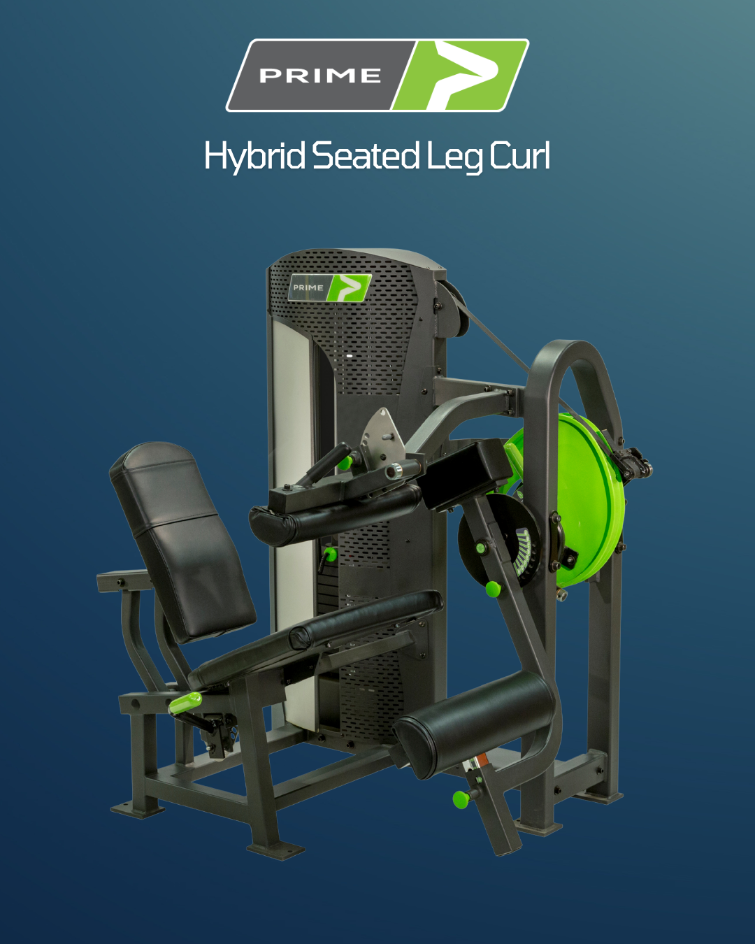 Prime Hybrid Seated Leg Curl