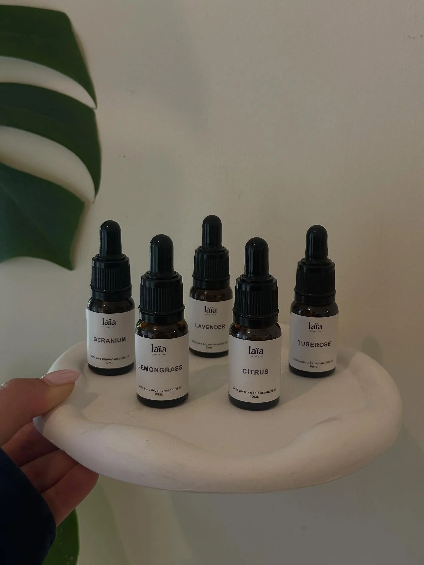 ✨ Relax, Rejuvenate, Repeat ✨
Discover the perfect blend of luxury and wellness with our curated collection of massage oils 🌿💆‍♀️
From calming lavender to energizing citrus, each oil is crafted to elevate your spa ritual—whether you&rsqu