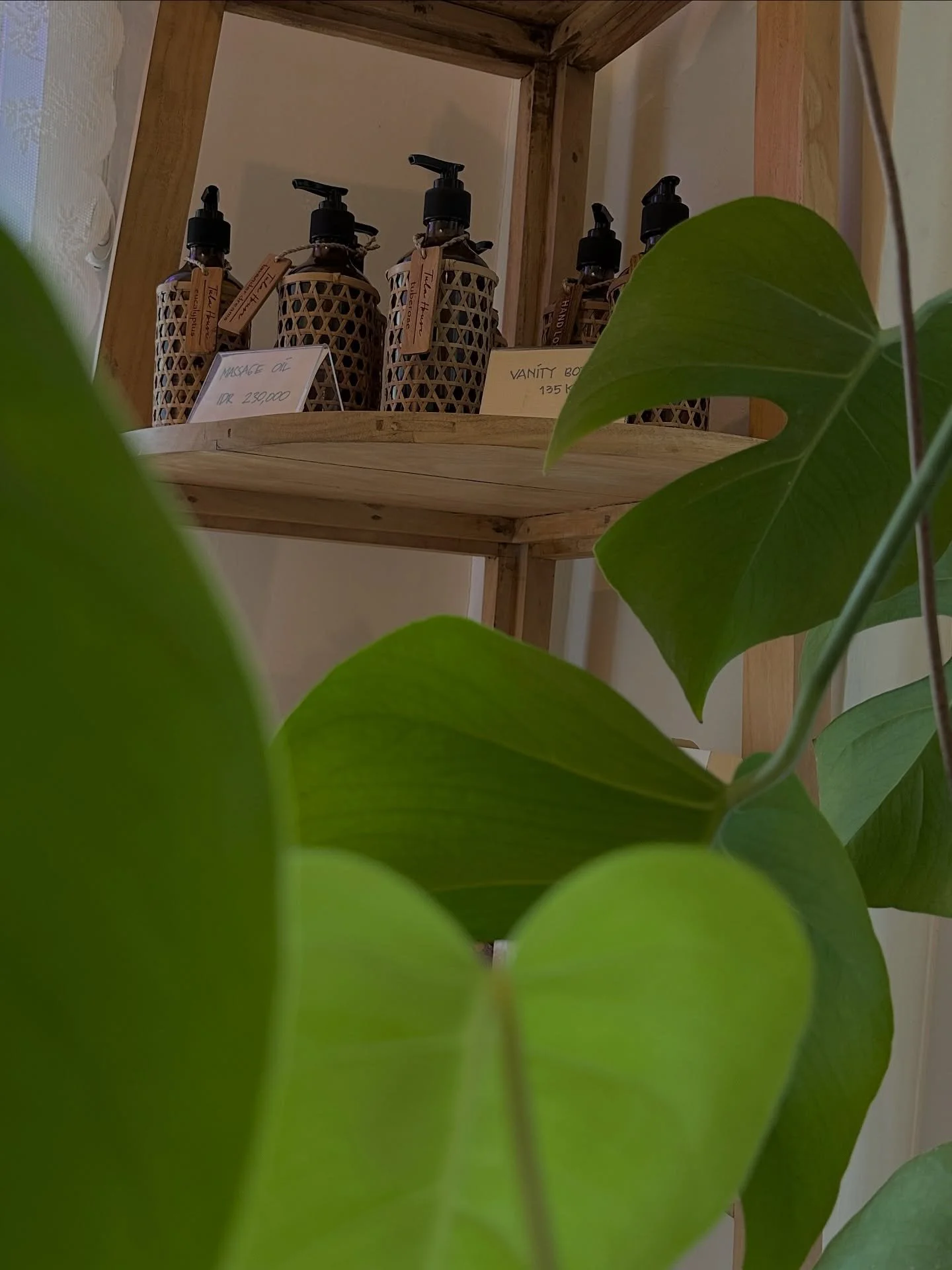 🌿 Laia Spa Vibes
Natural textures, calming botanicals, and handcrafted care — the essence of serenity captured in every detail. #LaiaSpa #SelfCareSanctuary #BotanicalBliss