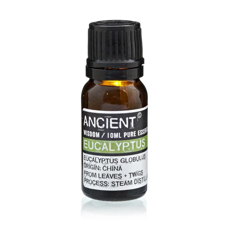 Eucalyptus.jpg