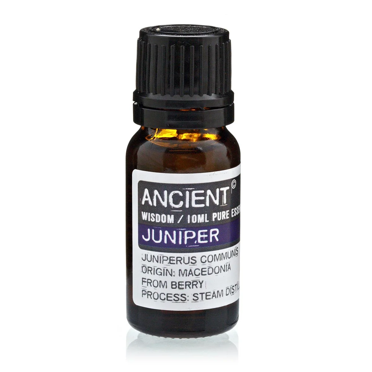 Juniper.jpeg