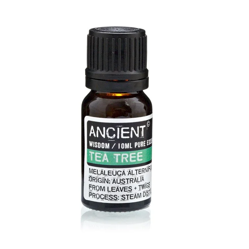 Tea Tree.jpg