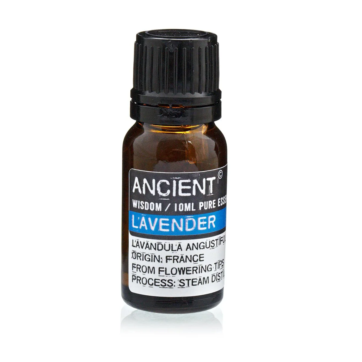 Lavender2.jpeg