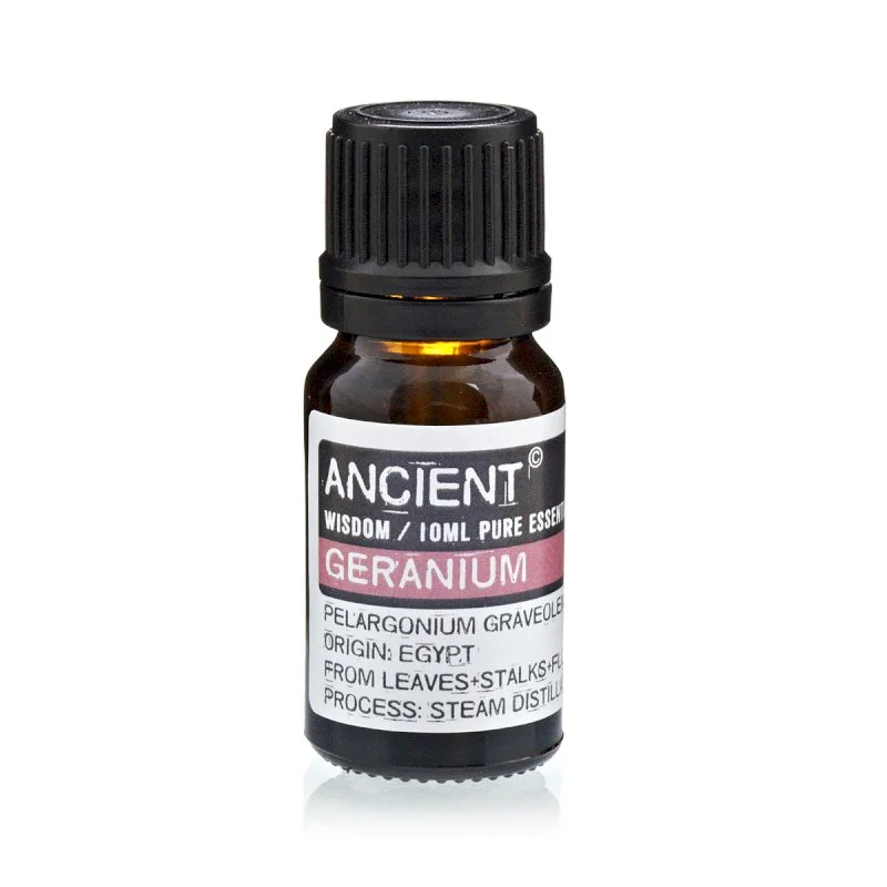 Geranium.jpg