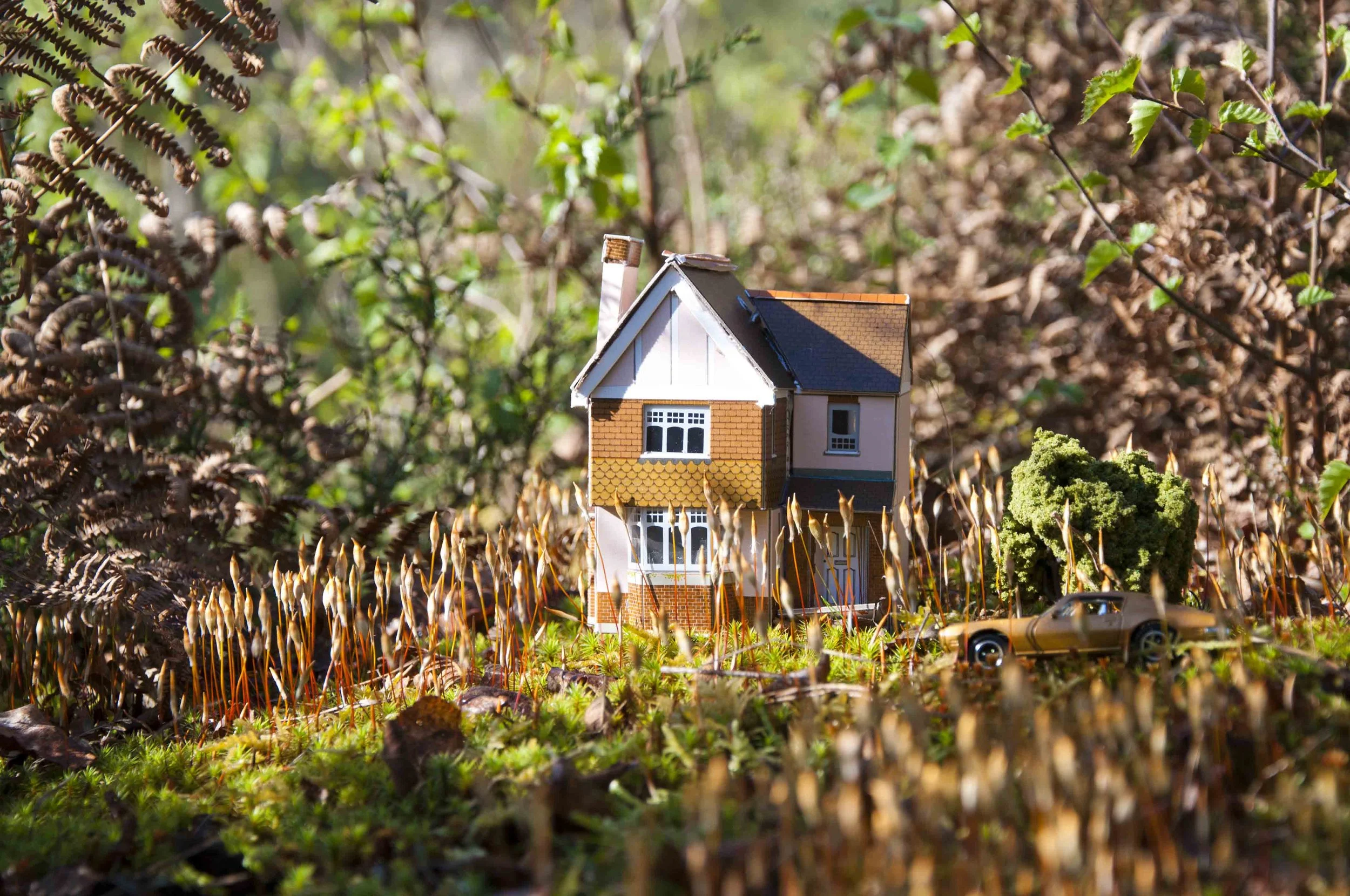 Carolyn Macleod art6.jpg