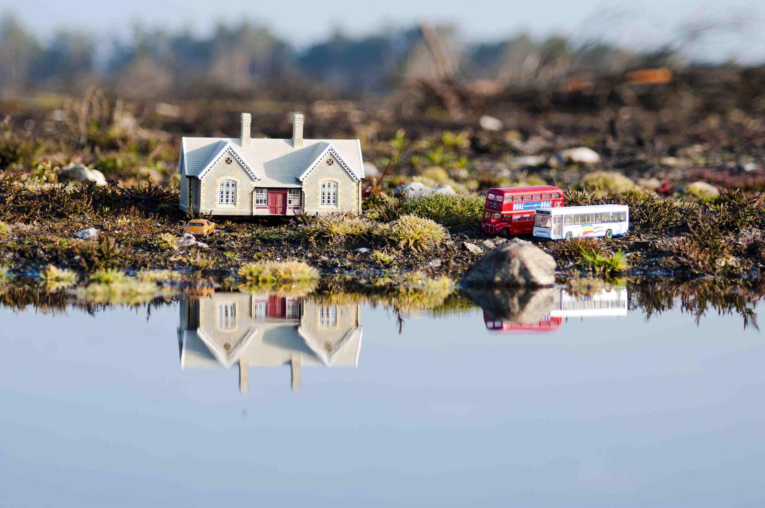 Carolyn Macleod art2.jpg