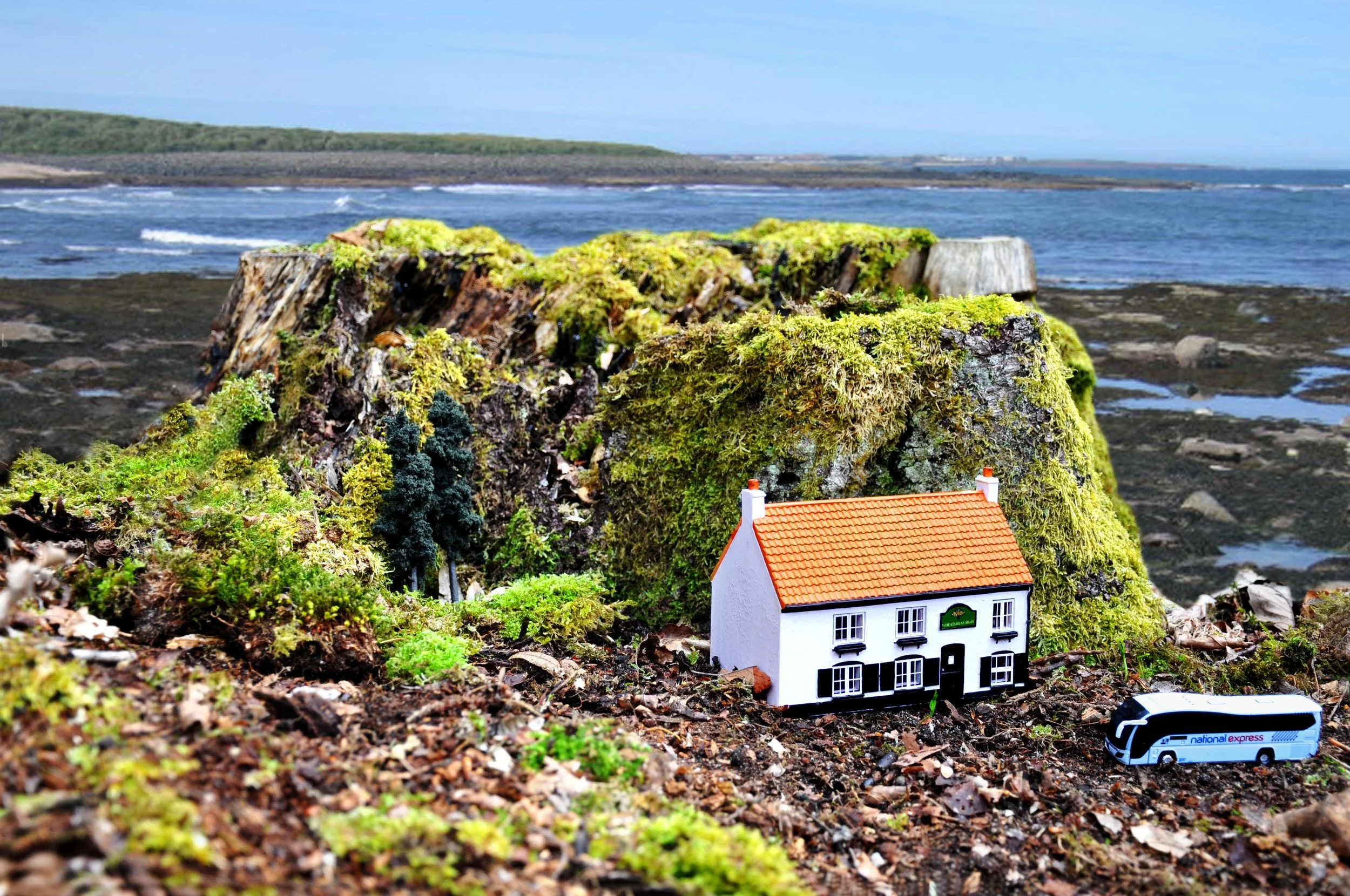 Carolyn Macleod art.Pub by the sea-small.jpg