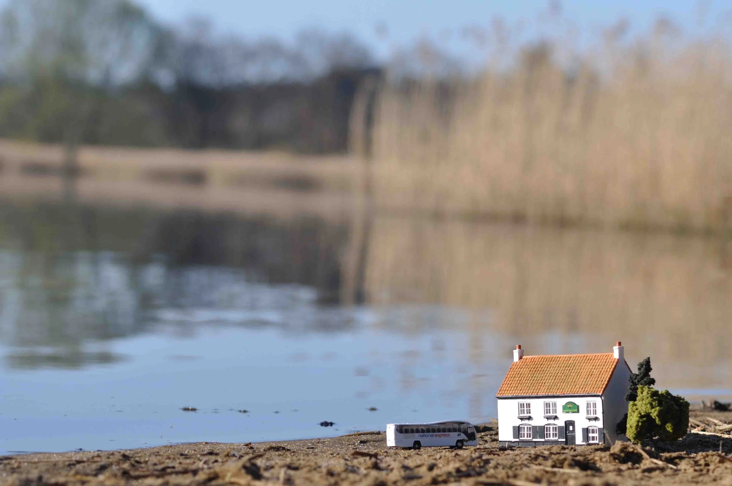 Carolyn Macleod art4..jpg