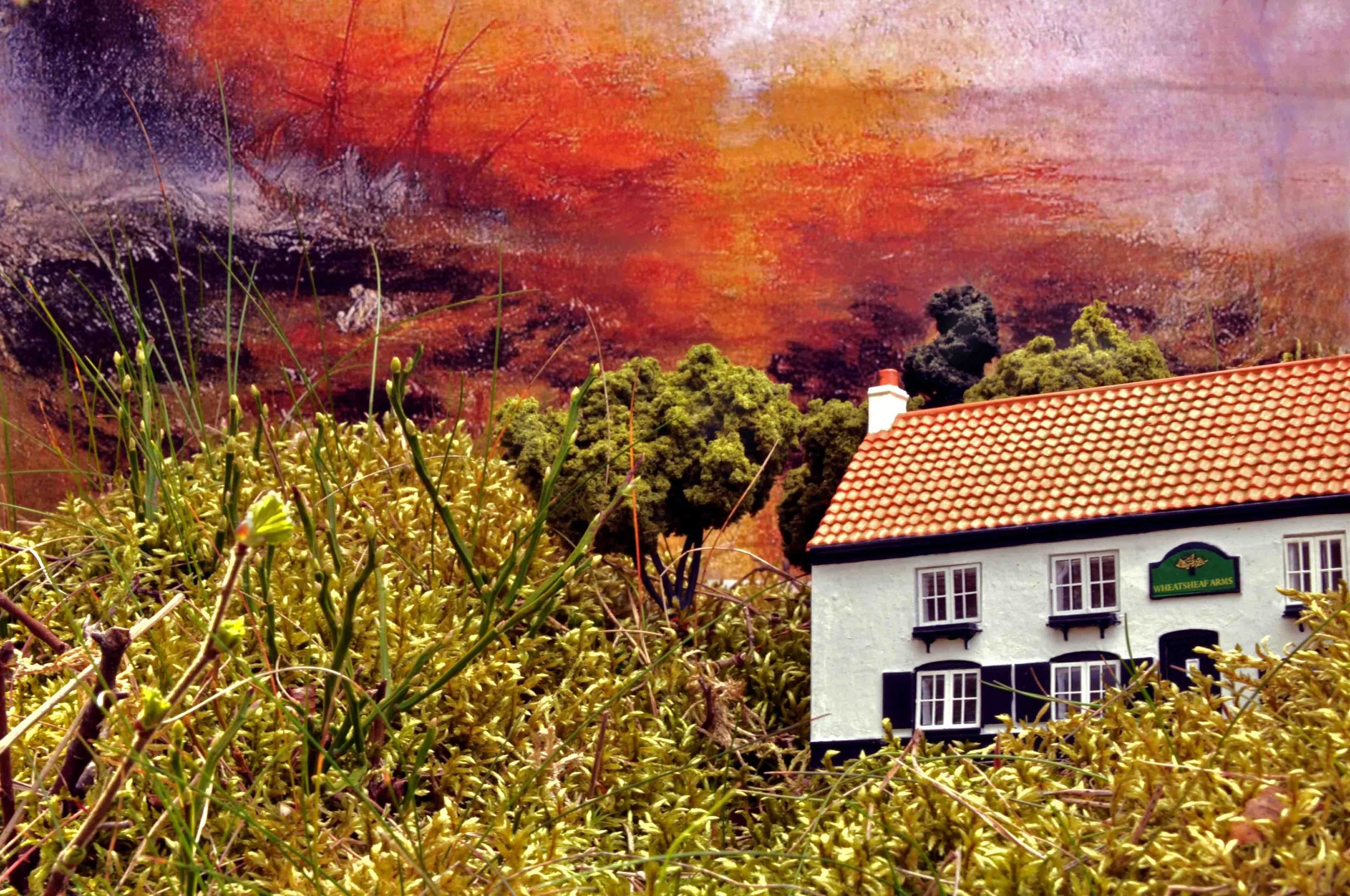 Carolyn Macleod art7.jpg