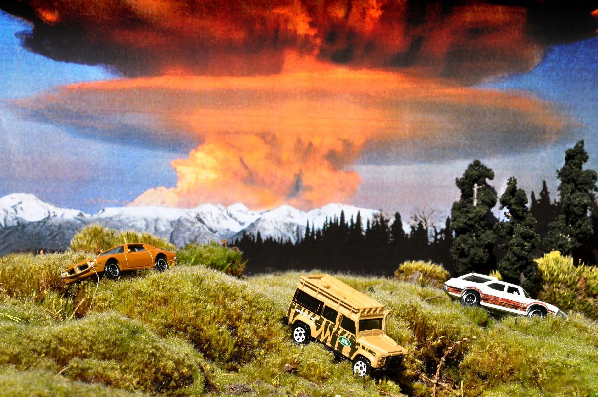 Carolyn Macleod art9.jpg