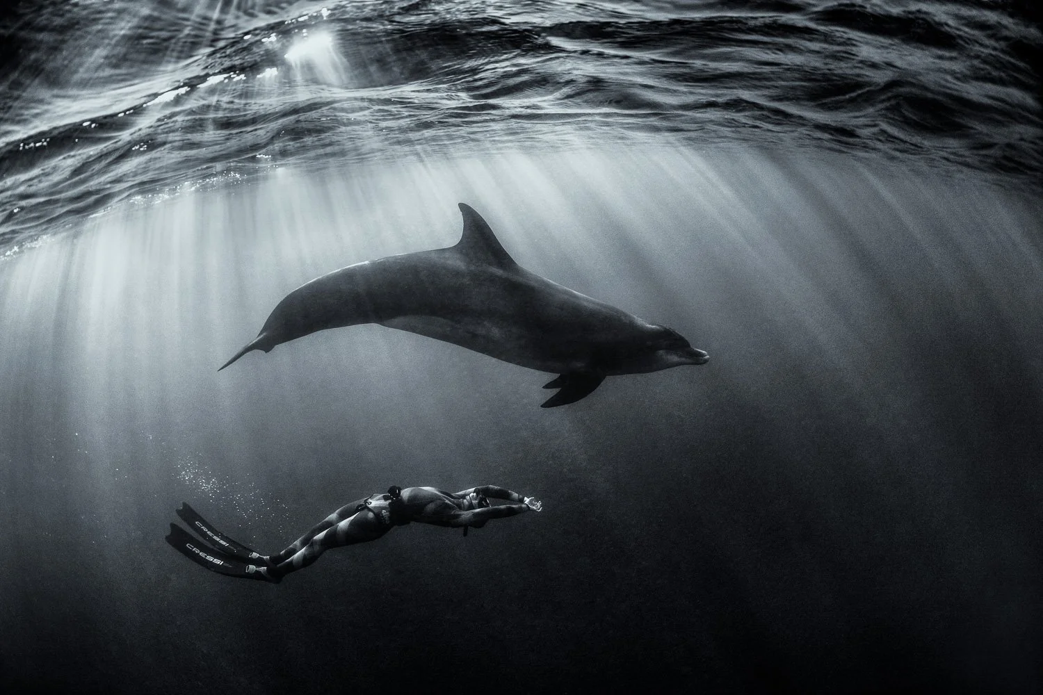 freediver-swimming-with-dolphin-sun-rays.jpg