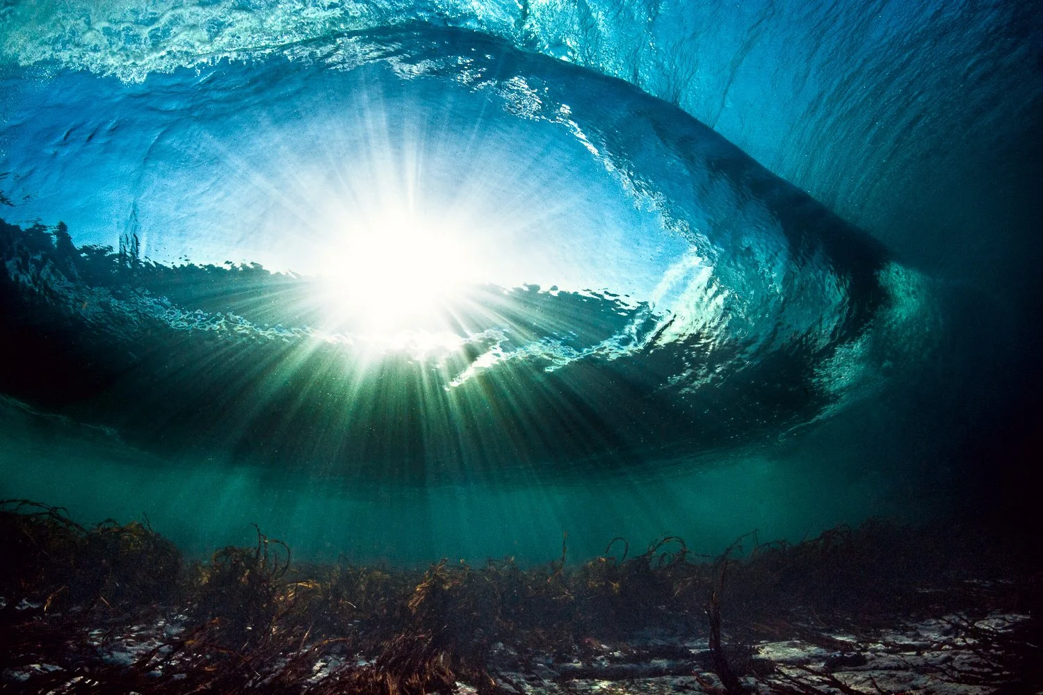 underwater-rileys-wave-view.jpg