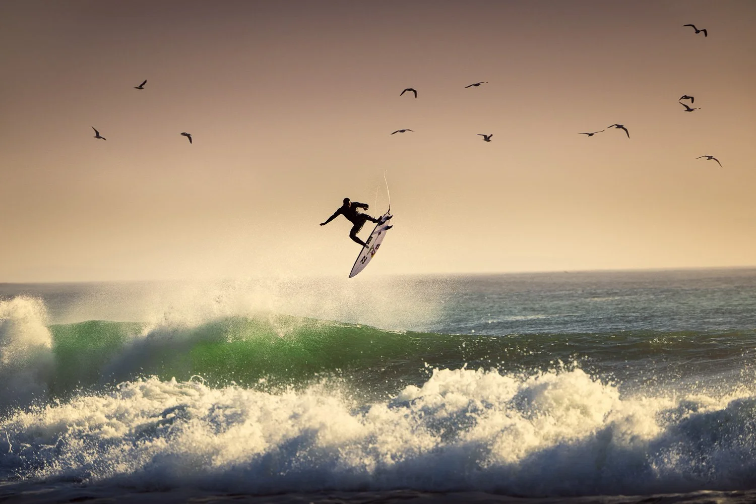 italo-ferreira-surf-aerial-with-birds-ocean-action.jpg