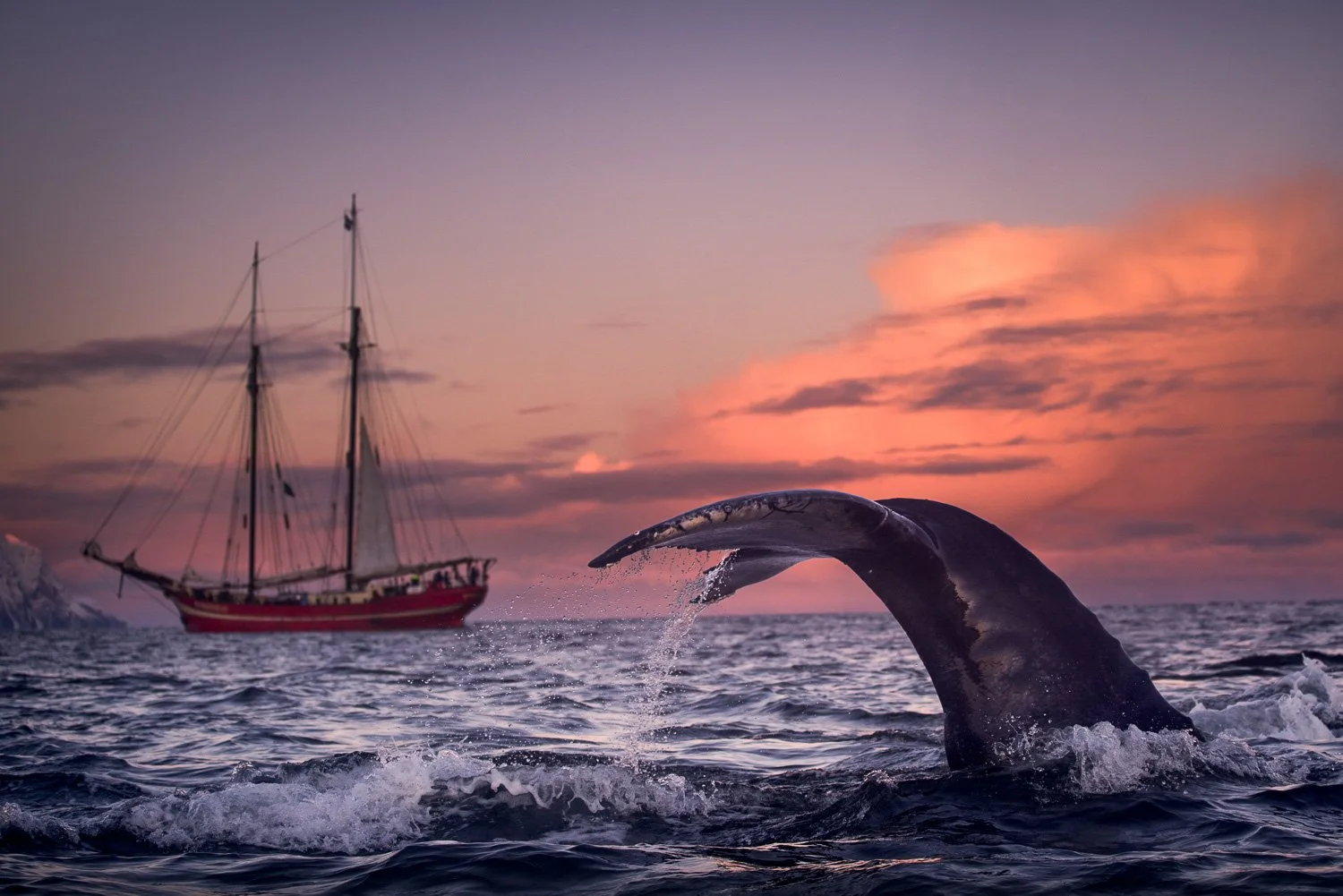 wooden-tall-ship-sunset-whale-tail-fluke-arctic.jpg