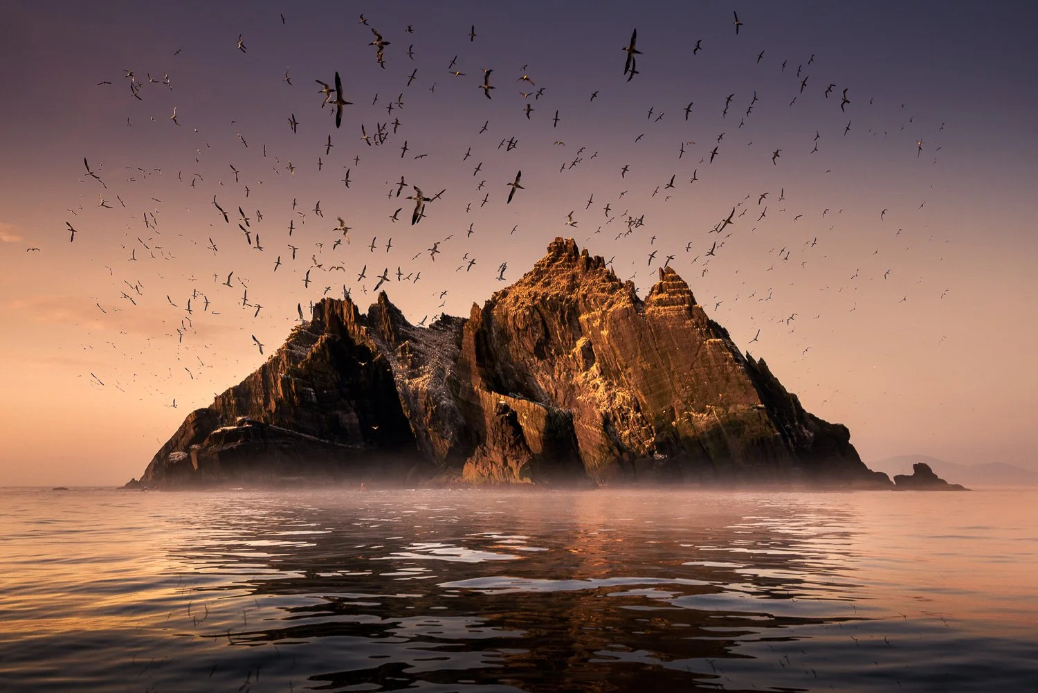 Skellig Rock with gannets flying above at sunset