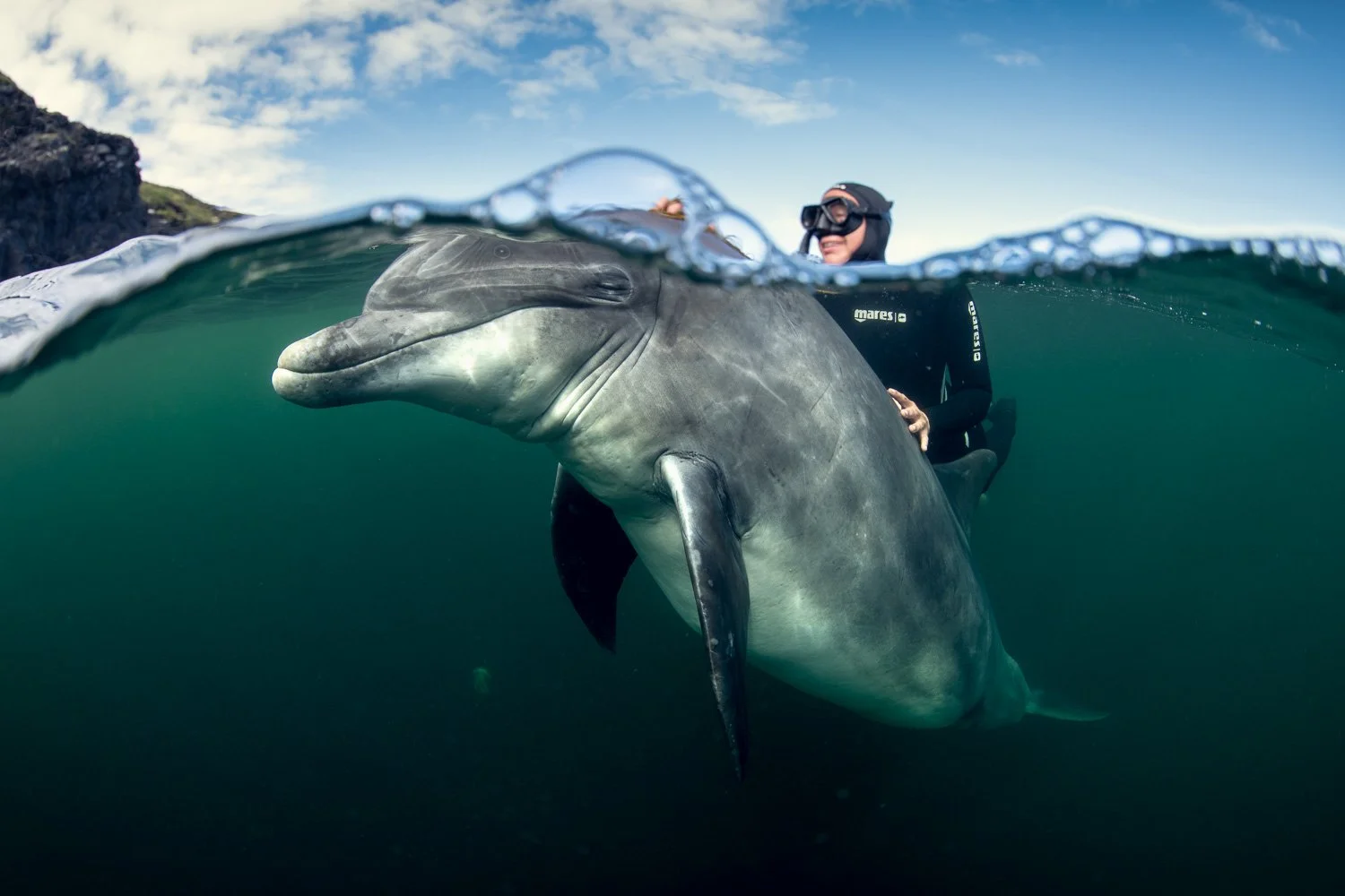Half-above, half-below image capturing a tranquil dolphin drifting near a diver, with clear blue skies above and deep emerald water below, showcasing an intimate underwater moment