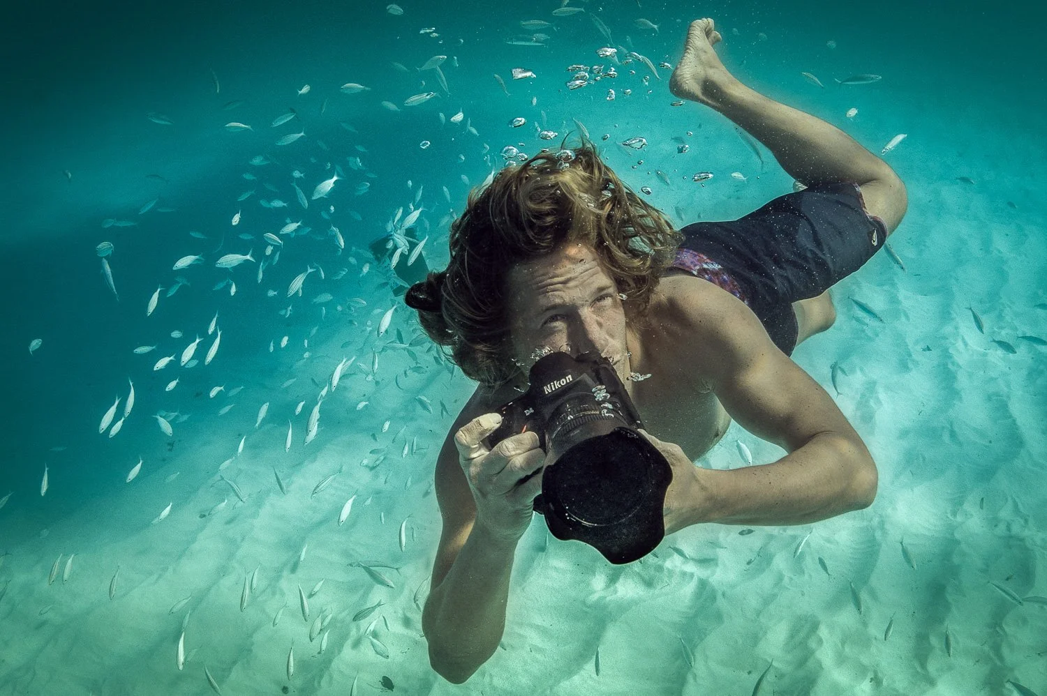A person underwater holding a camera, surrounded by small fish.