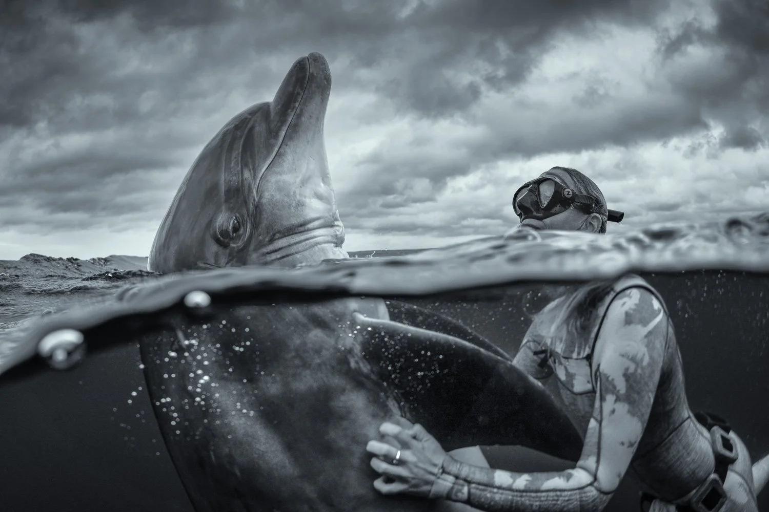 Black-and-white split-shot of a bottlenose dolphin rising high at the surface beside a free diver, the moment framed by stormy skies and textured Atlantic water