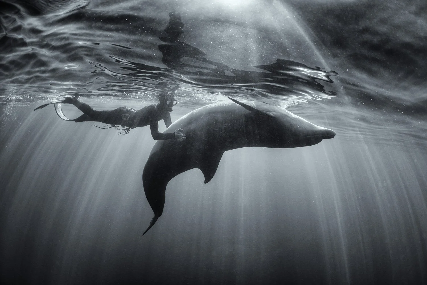 freediver-touching-wild-dolphin.jpg