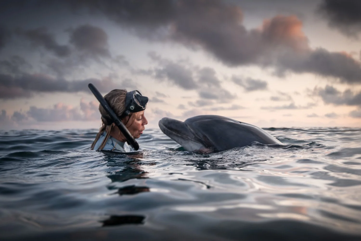 Tender surface encounter at dusk as a free diver meets the calm gaze of a bottlenose dolphin in pastel evening light