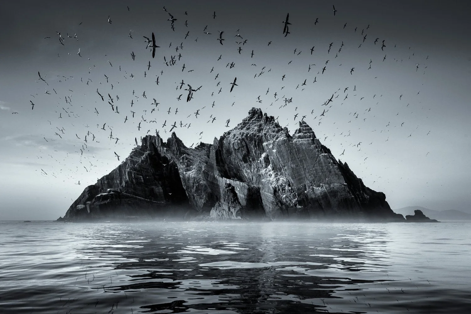 skellig-michael-seabird-colony.jpg