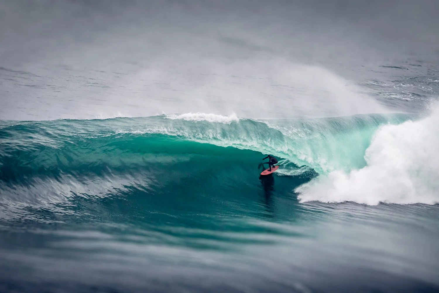 surfer-patch-wilson-deep-green-barrel-aileens-clean-wave.jpg
