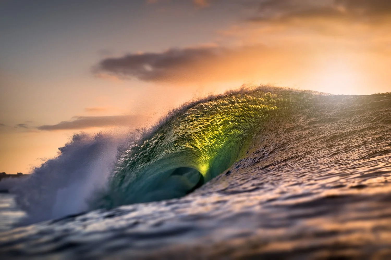 irish-backlit-barrel-golden-glow.jpg