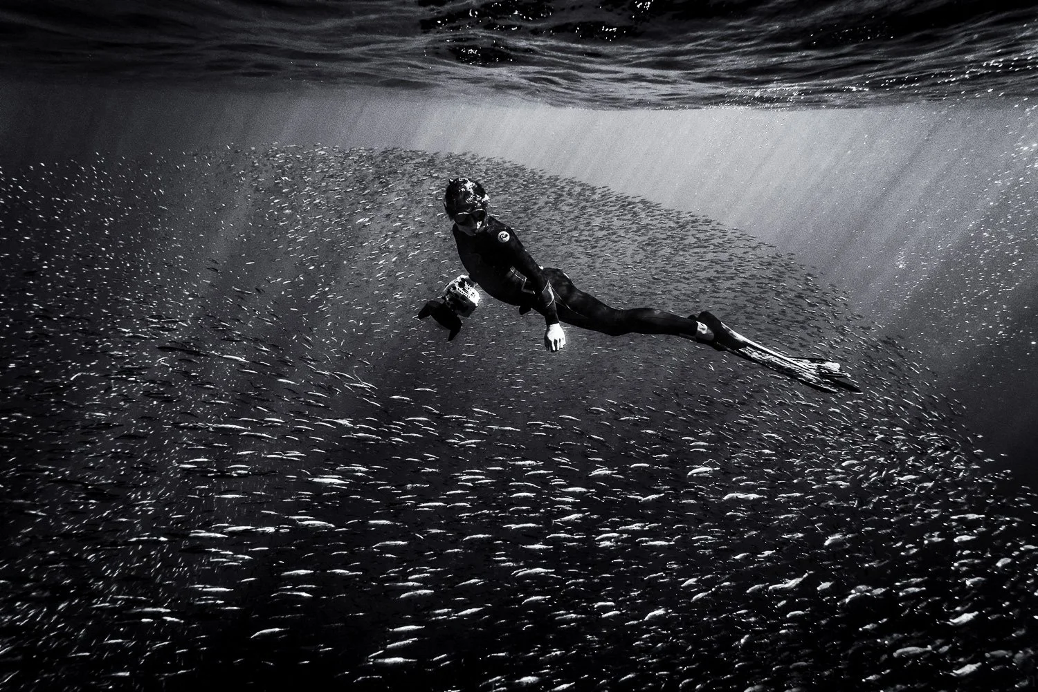 George Karbus free dives underwater among a large school of fish.