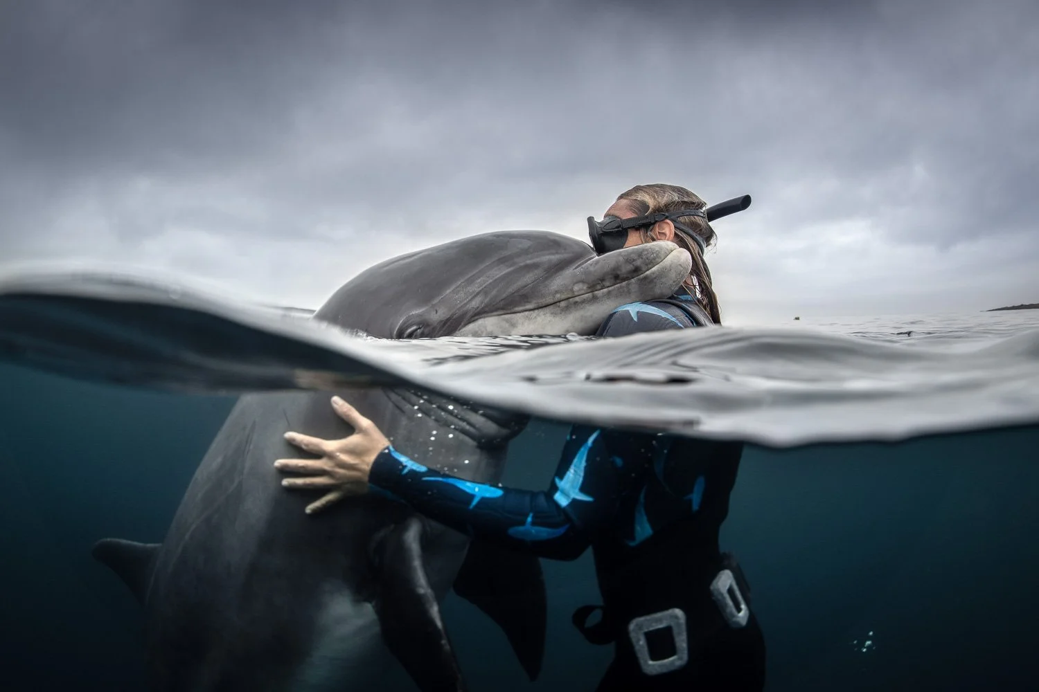 Kate Hamsikova in connection with her ocean friend, the wild bottlenose dolphin