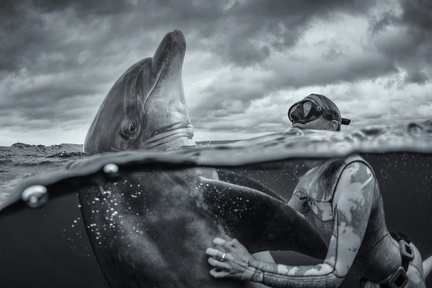 diver-and-solitary-dolphin-play.jpg