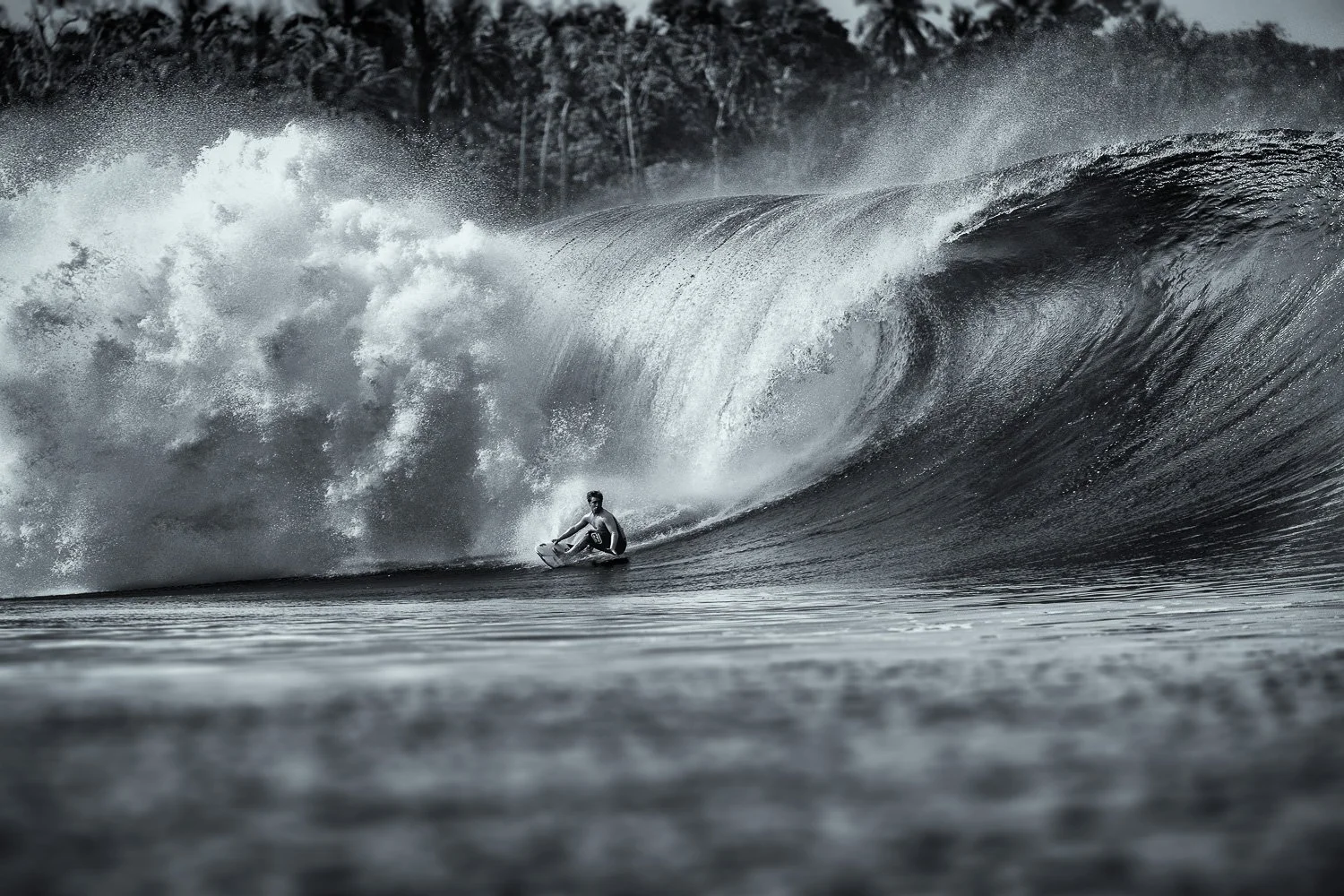black-and-white-heavy-wave-green-bush-surf-photography.jpg