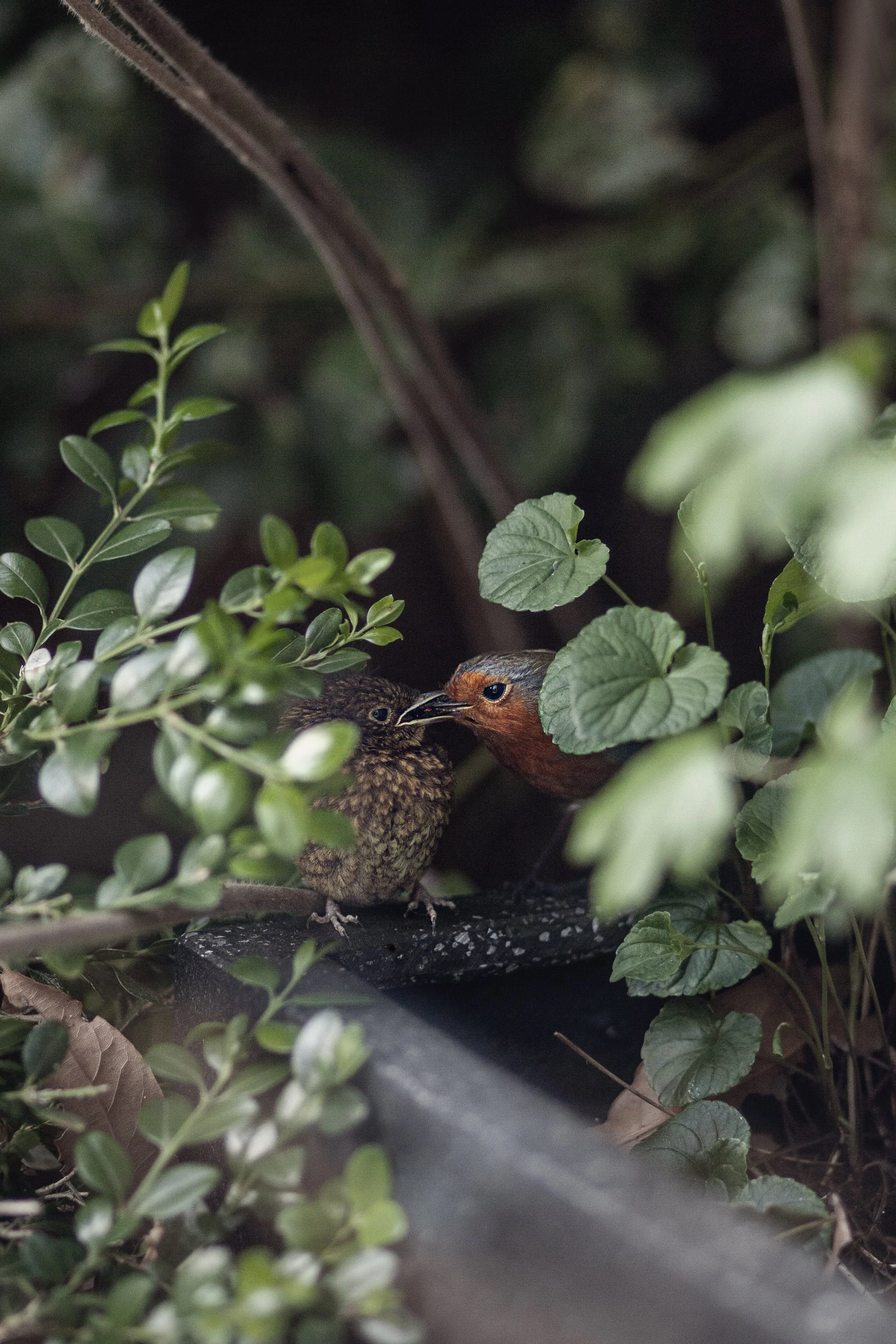 From Milan to Glasgow:       A Year of Photography Exhibitions