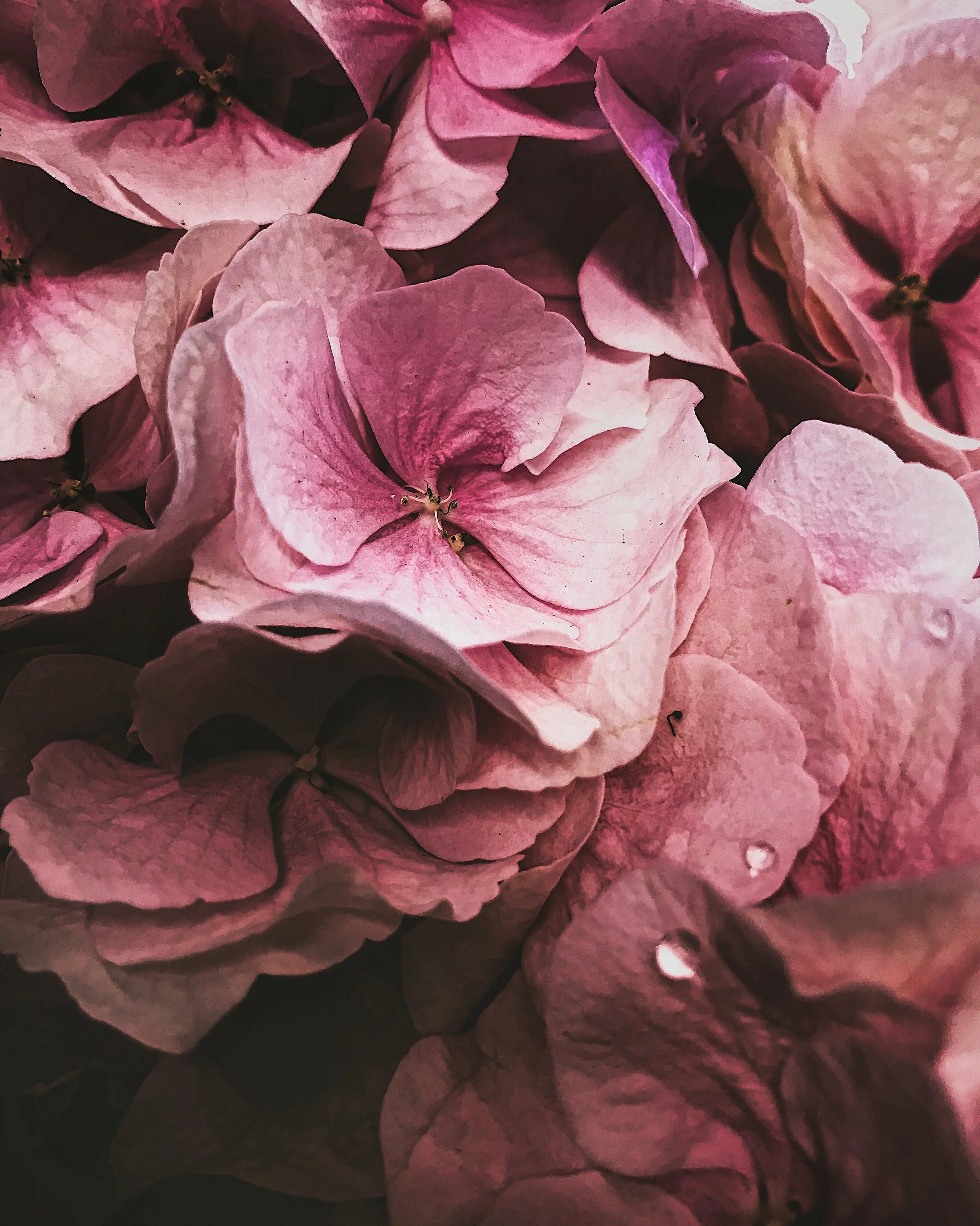 When Photography Leads You Down Unexpected Creative Paths