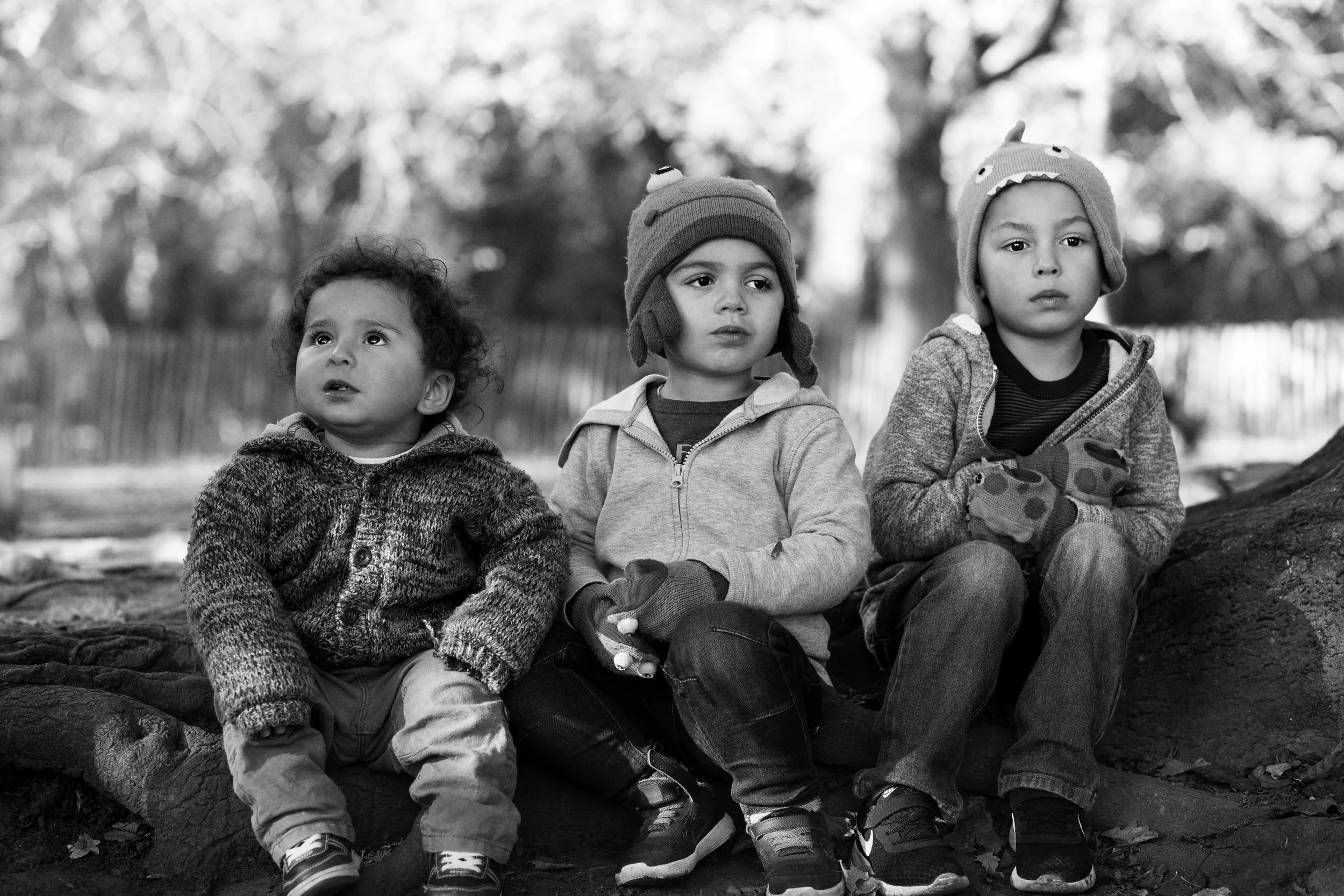 Black and white image of three young boys siting on a tree branch 