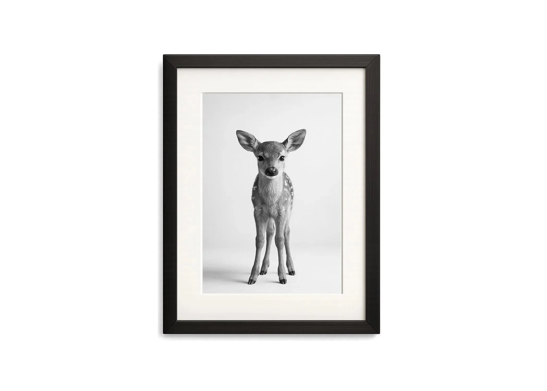 Baby+Fawn+Black+Frame.jpg