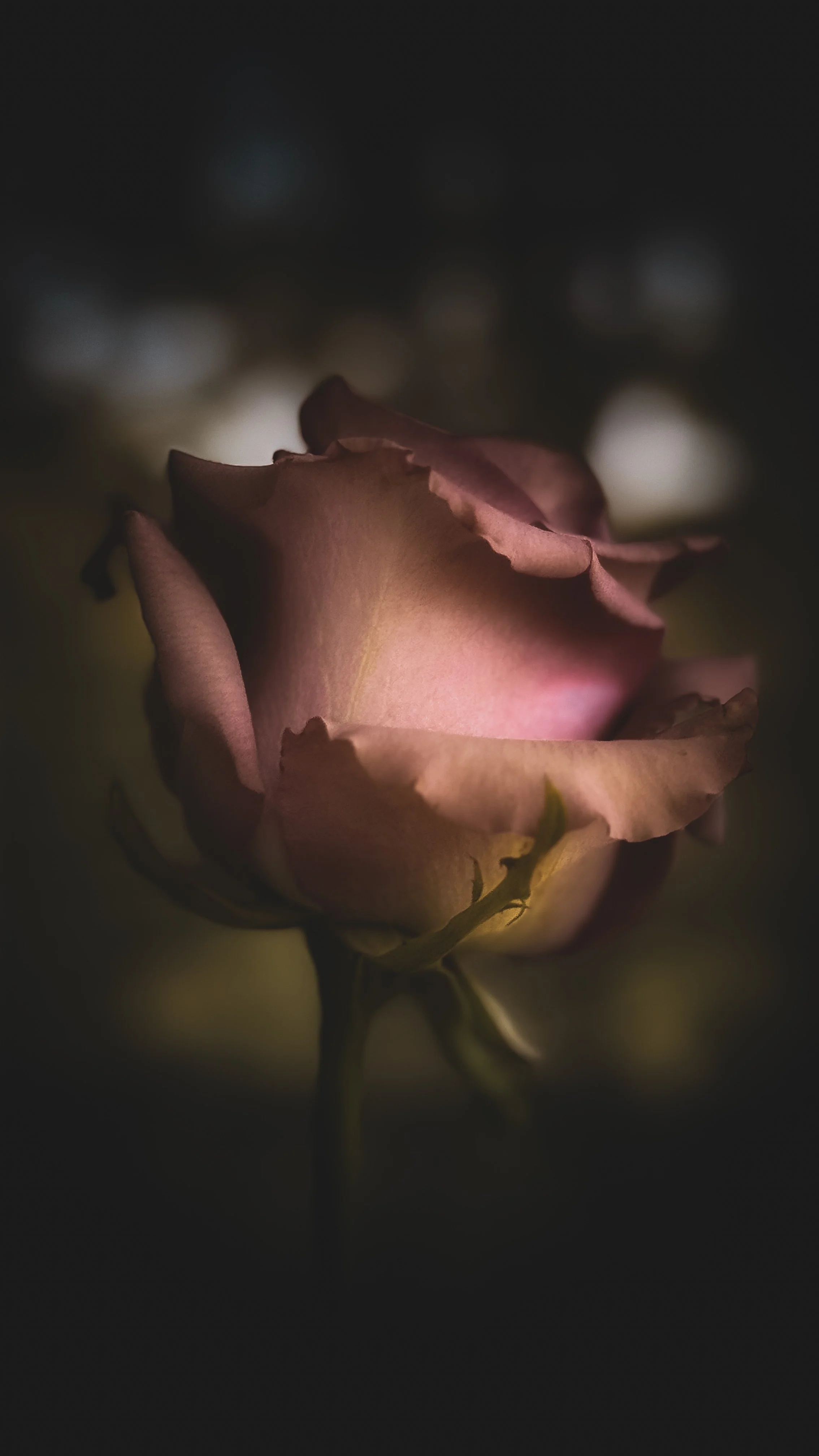 Finding the Light That Never Left