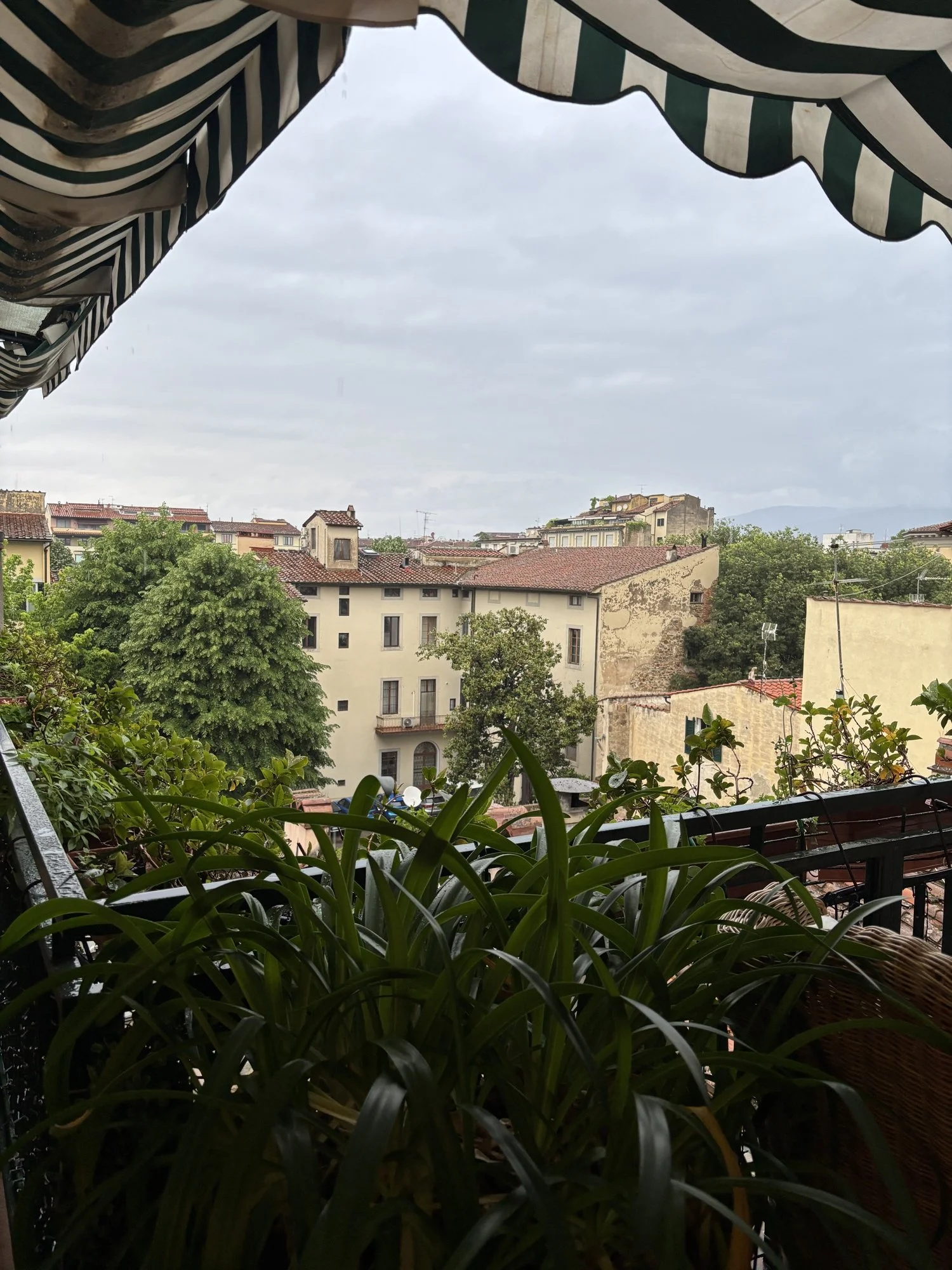 Vue d'un balcon avec des plantes vertes en premier plan, un toit en tuiles rouges, des bâtiments résidentiels et un ciel nuageux en arrière-plan.