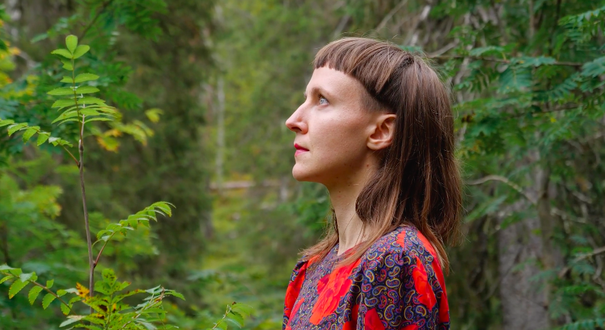 screenshot ´A Gift from the Stump at Kipukuja´(2025)