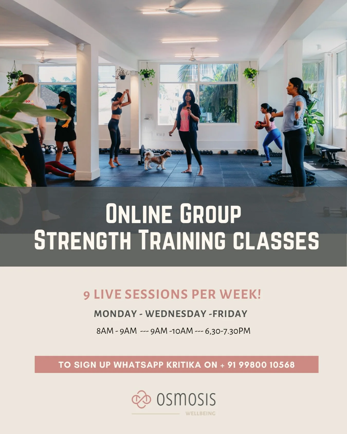 Enrollment is now open for the Osmosis Online Training Program 🪴Starting January 5th.

If you&rsquo;ve been wanting to train consistently, build strength, and feel more connected to your body but need the flexibility of working out from home - this 