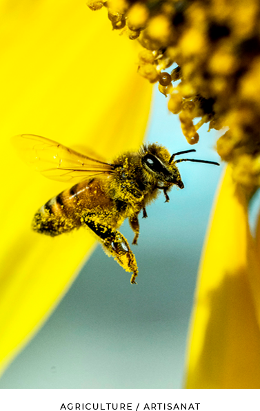 Article 1 à modifier