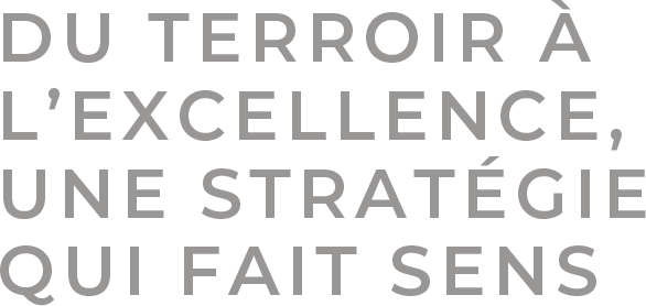 Du Terroir à L’Excellence,une Stratégie qui fait Sens