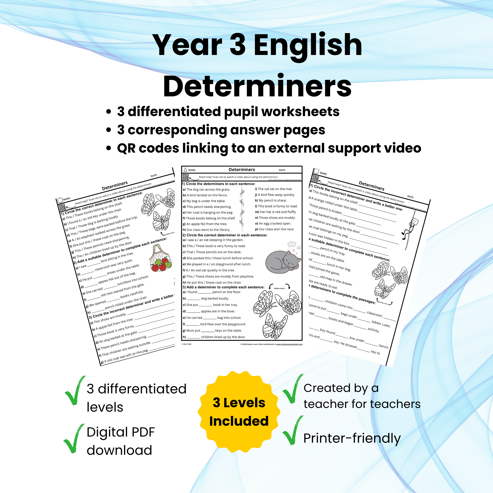 Product_Image_Year_3_Determiners_727-729.png