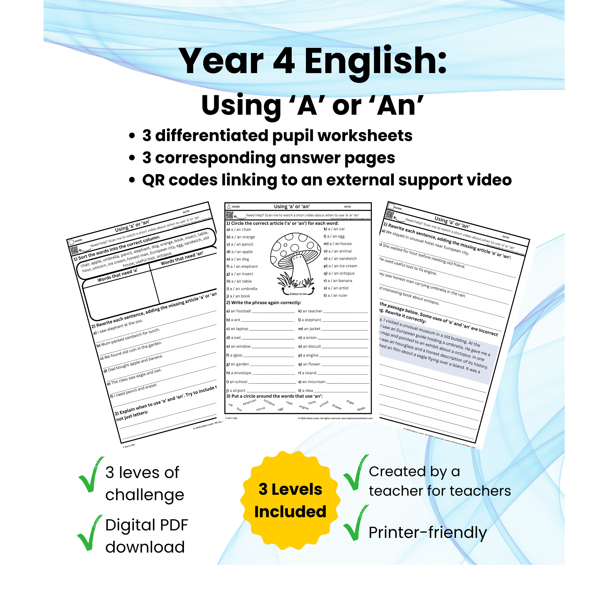 Year 4 Using ‘a’ or ‘an’ Homework (703-705)