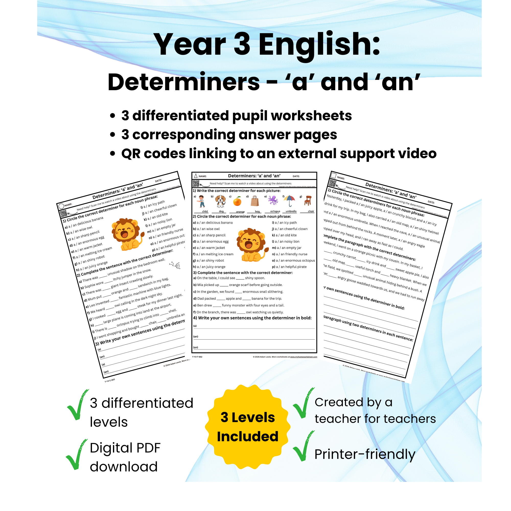 Product_Image_Y3_Determiners_a_an_652-654.png