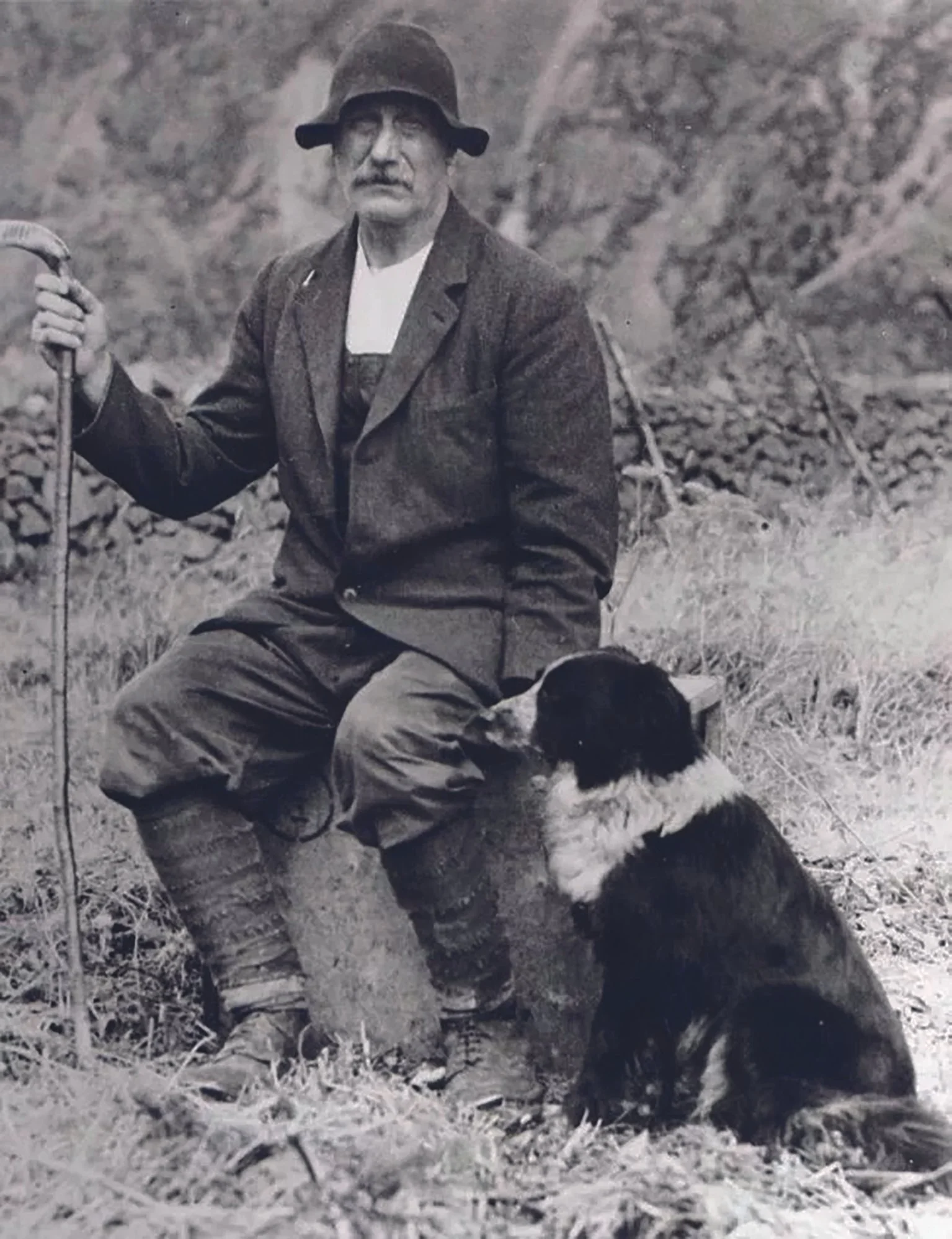 Shepherds to the rescue