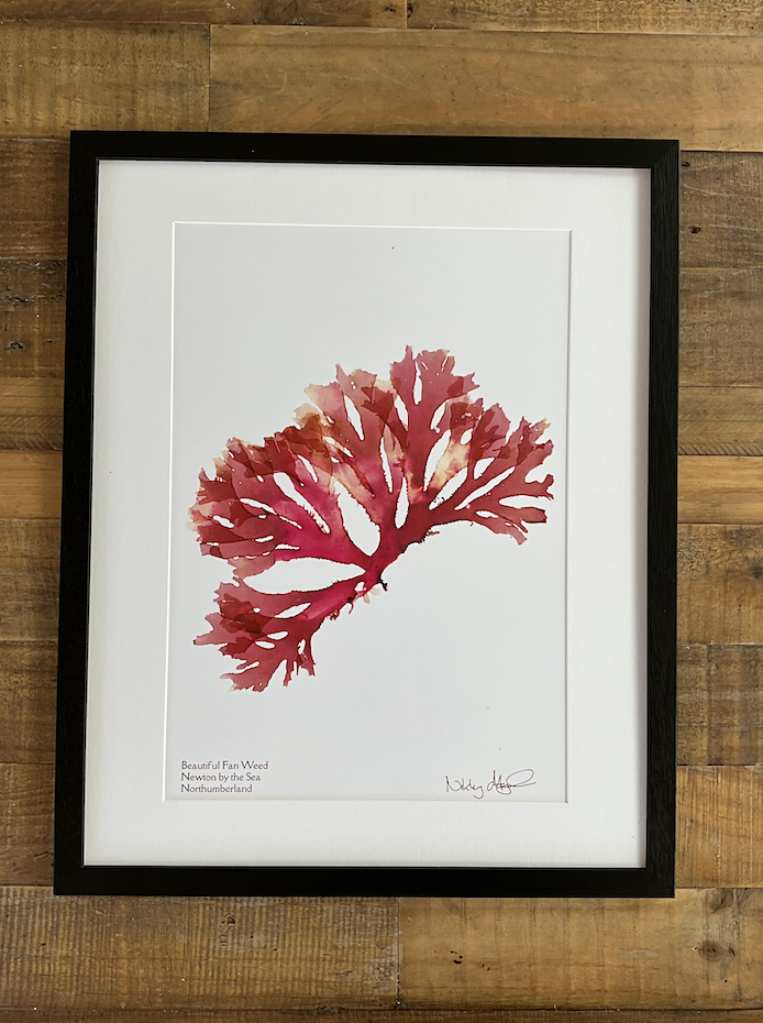 Screenshot 2025-04-22 at 19.02.21.png