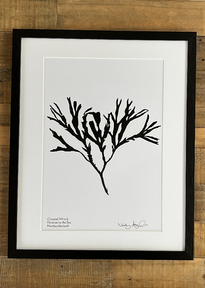 Screenshot 2025-04-22 at 19.02.42.png